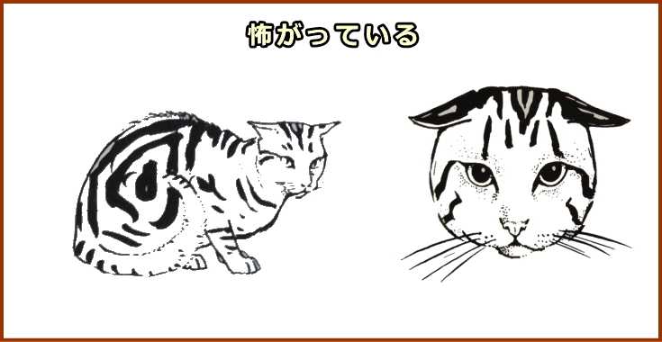 恐怖と怒りの葛藤状態にあるときの典型的な猫の姿勢