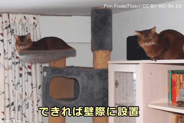 キャットツリー(タワー)は壁際に設置したほうが使われやすいかも