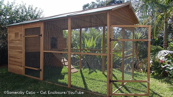 独立型キャティオは家屋から離れた広い空間を利用