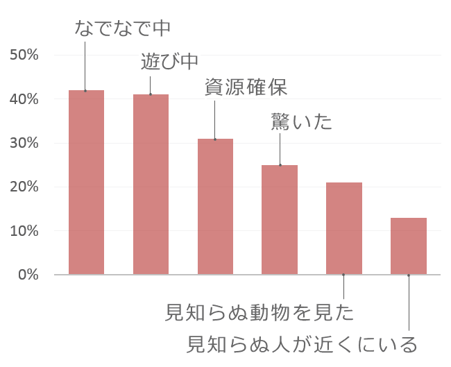 人間に対する猫の攻撃行動が発生しやすい状況一覧