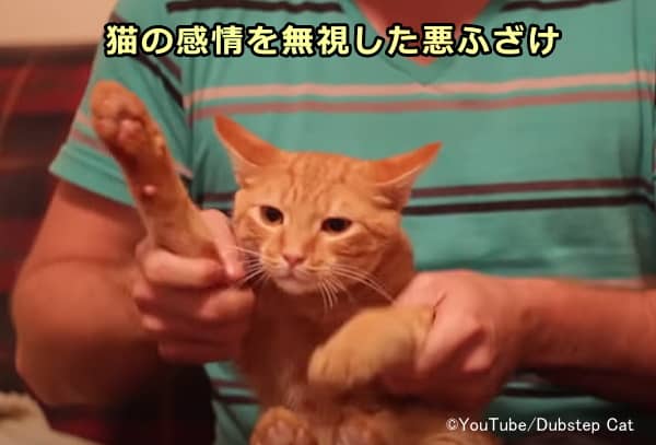 猫の感情をないがしろにして体を拘束し踊らせる無神経な飼い主