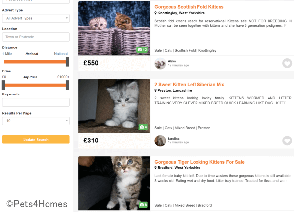 猫の購入・入手方法～通販サイトを利用して購入する場合