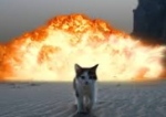爆発を背にした猫