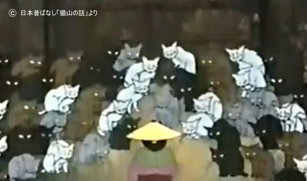 日本昔ばなし「猫山の話」