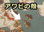 江戸時代の浮世絵に描かれた猫とアワビの殻