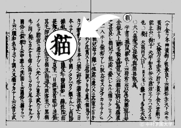 大和本草・第十四巻に記された「猫」の項