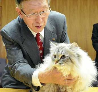 ロシアのプーチン大統領から贈られたシベリア原産の猫