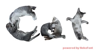 本物の猫の画像を用いて作り出された「NEKO FONT」