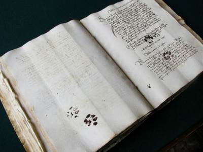 中世の古文書に残った猫の足跡