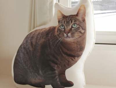 犬や猫をモチーフとしたクッション、アクセサリー、雑貨などを制作するアトリエキジ