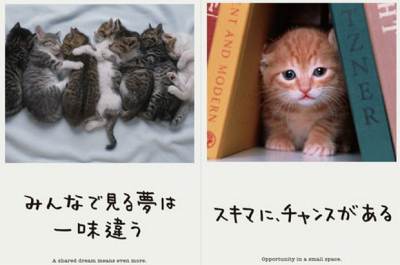 人生はニャンとかなる!明日に幸福をまねく68の方法