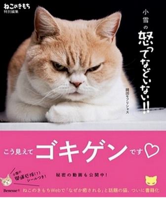 写真集・小雪の怒ってなどいない!!