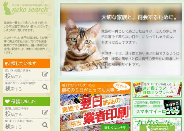 猫専用の迷子掲示板・「neko search」