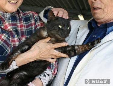 奇跡の再会を果たした黒猫の「スイカ」