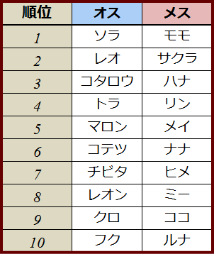 2013年度・猫の名前ランキングトップ10