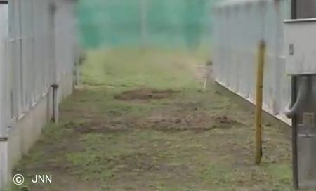 子猫が生き埋めにされた千葉県の県立高校