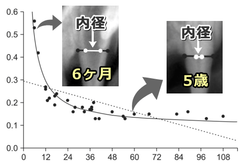 猫の歯髄腔と犬歯幅の比率は、5歳を上限に低下していく