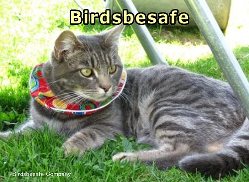 猫による鳥の狩猟被害を防ぐために開発された特殊な首輪「Birdsbesafe」