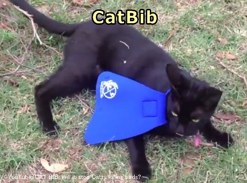 よだれかけのような形をした猫の狩猟抑制アイテム「CatBib」