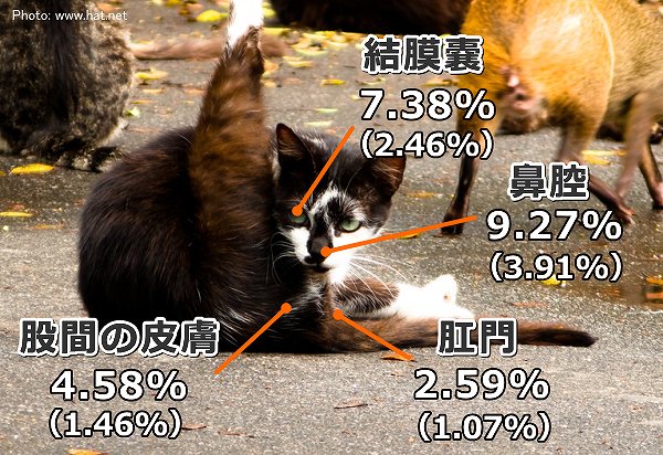 猫の肛門や股間よりも目や鼻腔内における黄色ブドウ球菌の保有率が高い