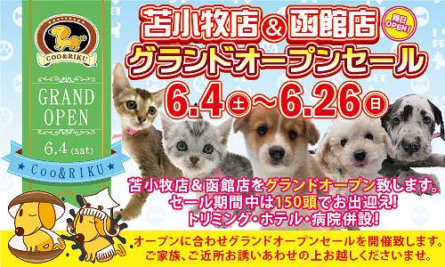 ペットショップは子犬や子猫を「セール品」や「均一品」として扱う