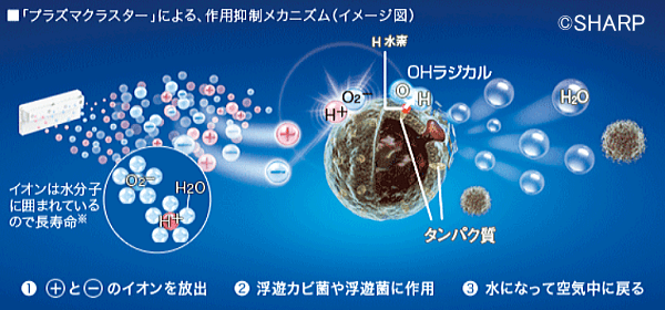 シャープが開発した「プラズマクラスター」の基本原理