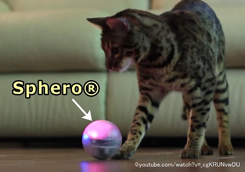 スマホで遠隔操作が可能なデジタルおもちゃ「Sphero」