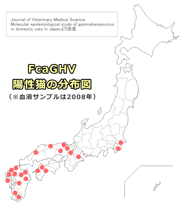 日本国内における猫ガンマヘルペスウイルスの分布図