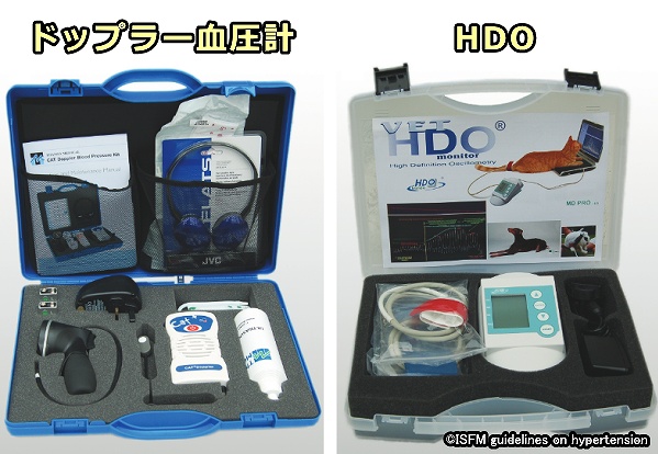 猫の血圧測定ではドップラー血圧計や高精細度オシロメトリー(HDO)が推奨される