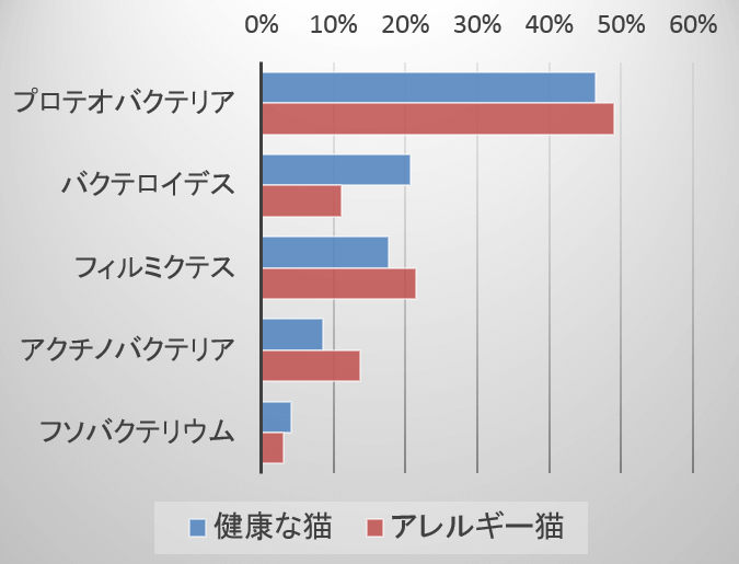 健康な猫とアレルギー猫の皮膚細菌叢の違い