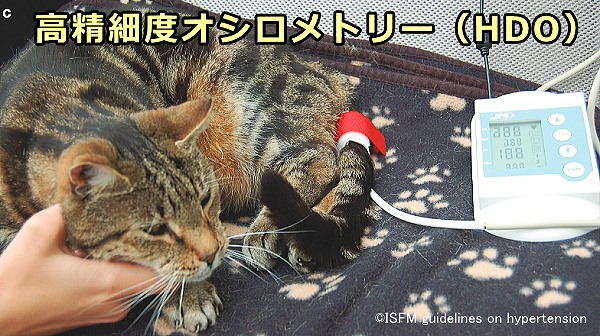 高精細度オシロメトリー(HDO)を用いる場合は尻尾を計測場所とする