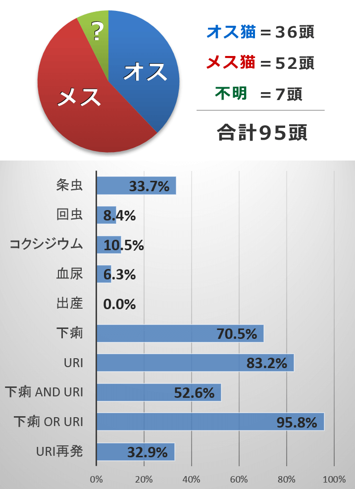 2011年に飯野シェルターに収容された猫たちの健康状態