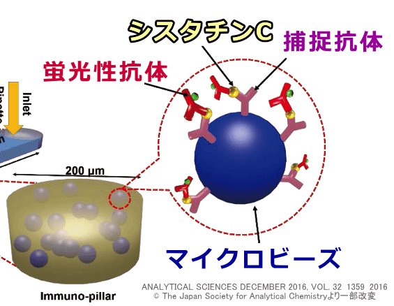 パネル化診断チップの模式図