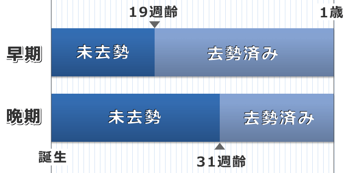 去勢手術の時期を19週齢と31週齢に分割し、猫たちの性的な成熟の度合いに違いをもたせる