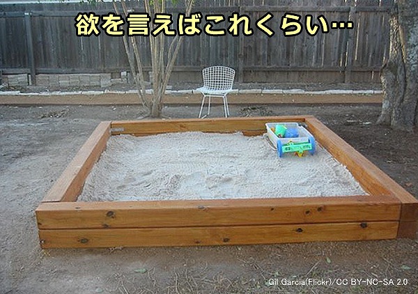 猫にとって理想のトイレは、欲を言えば砂場くらいの大きさ