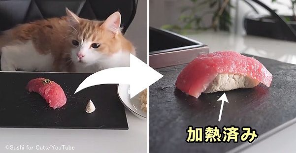 猫に鶏肉を与えるときはしっかり加熱して