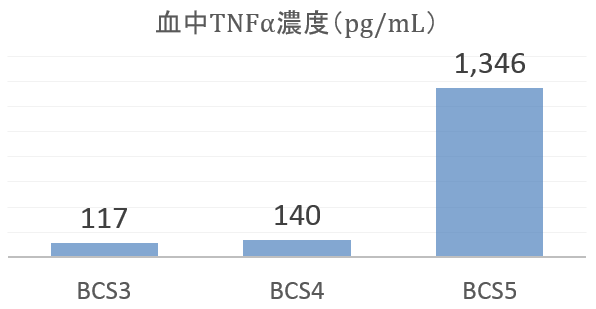 猫の体型別・血中TNFα濃度