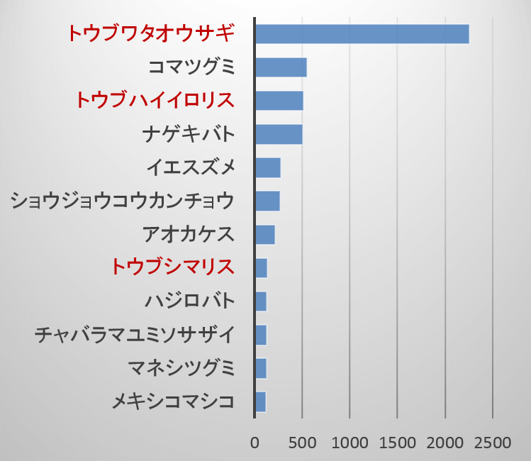 猫の攻撃を受けやすい野生動物を上位12種