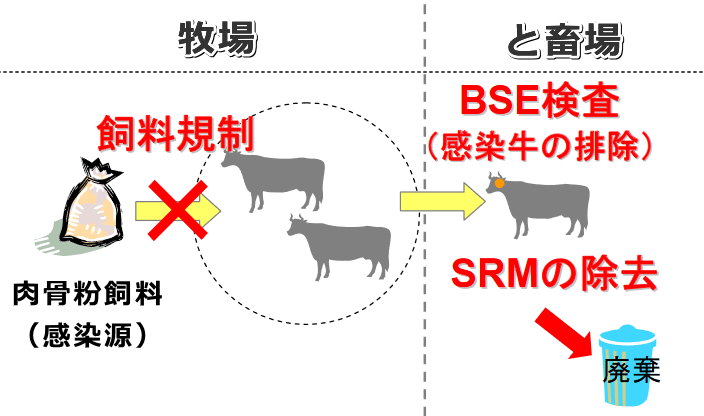 日本国内でのと畜場における食肉牛の扱い方