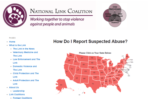 How Do I Report Suspected Abuse?