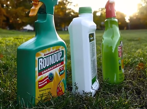モンサント社が開発したグリホサート系除草剤「Roundup」