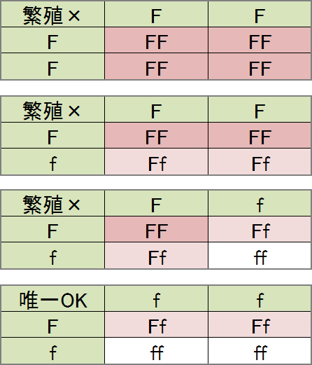 耳折れのスコティッシュフォールドどうしを繁殖に用いてはいけない