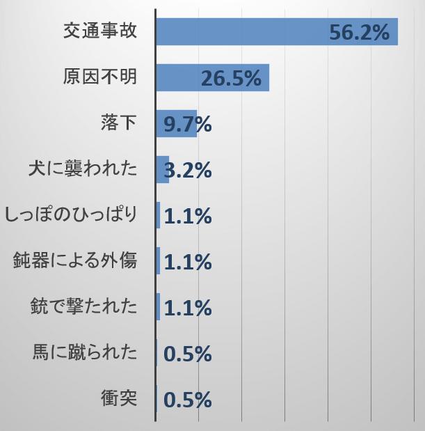 猫における急性外傷の原因一覧