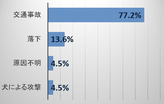 外傷を負った猫に多い死因