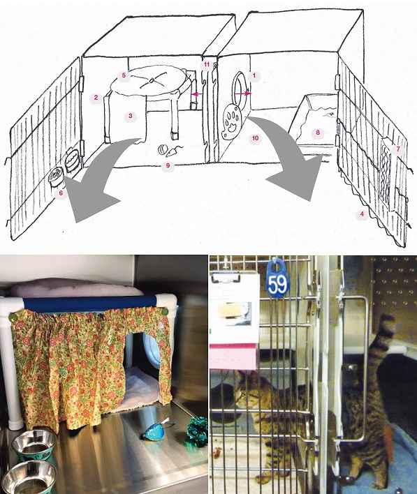 猫の収容施設における「続き部屋」（ダブルコンパートメント）のデザイン例