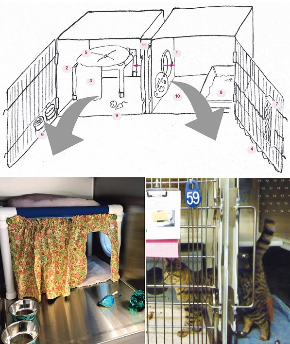 猫の収容施設における「続き部屋」(ダブルコンパートメント)のデザイン例