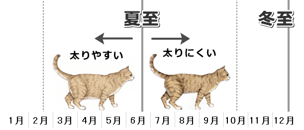 夏至を境目にして前の4ヶ月間に生まれた場合は9歳時の肥満リスクが劇的に増加する