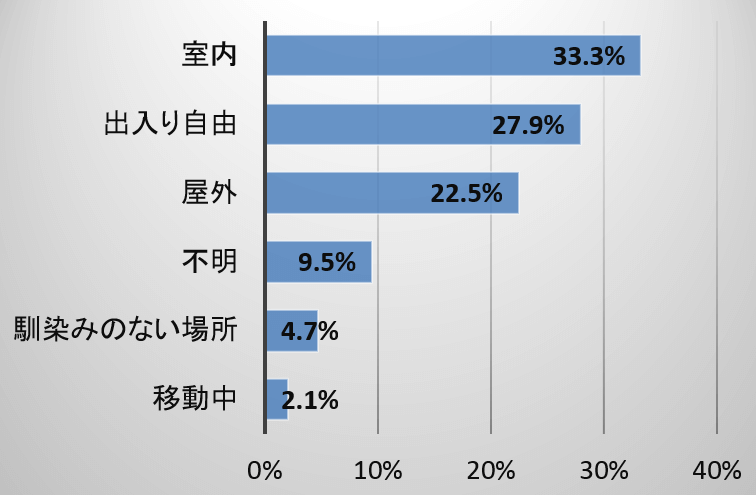 迷子猫がいなくなった時の状況