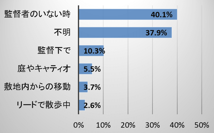 迷子猫が屋外から逃げた時の状況