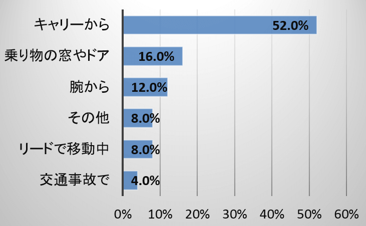 迷子猫が移動中に逃げた時の状況